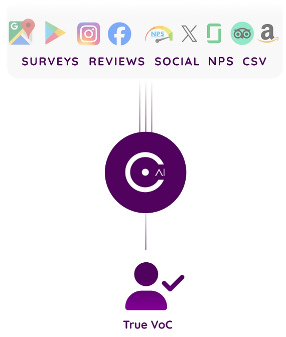 Unified VoC Dashboard